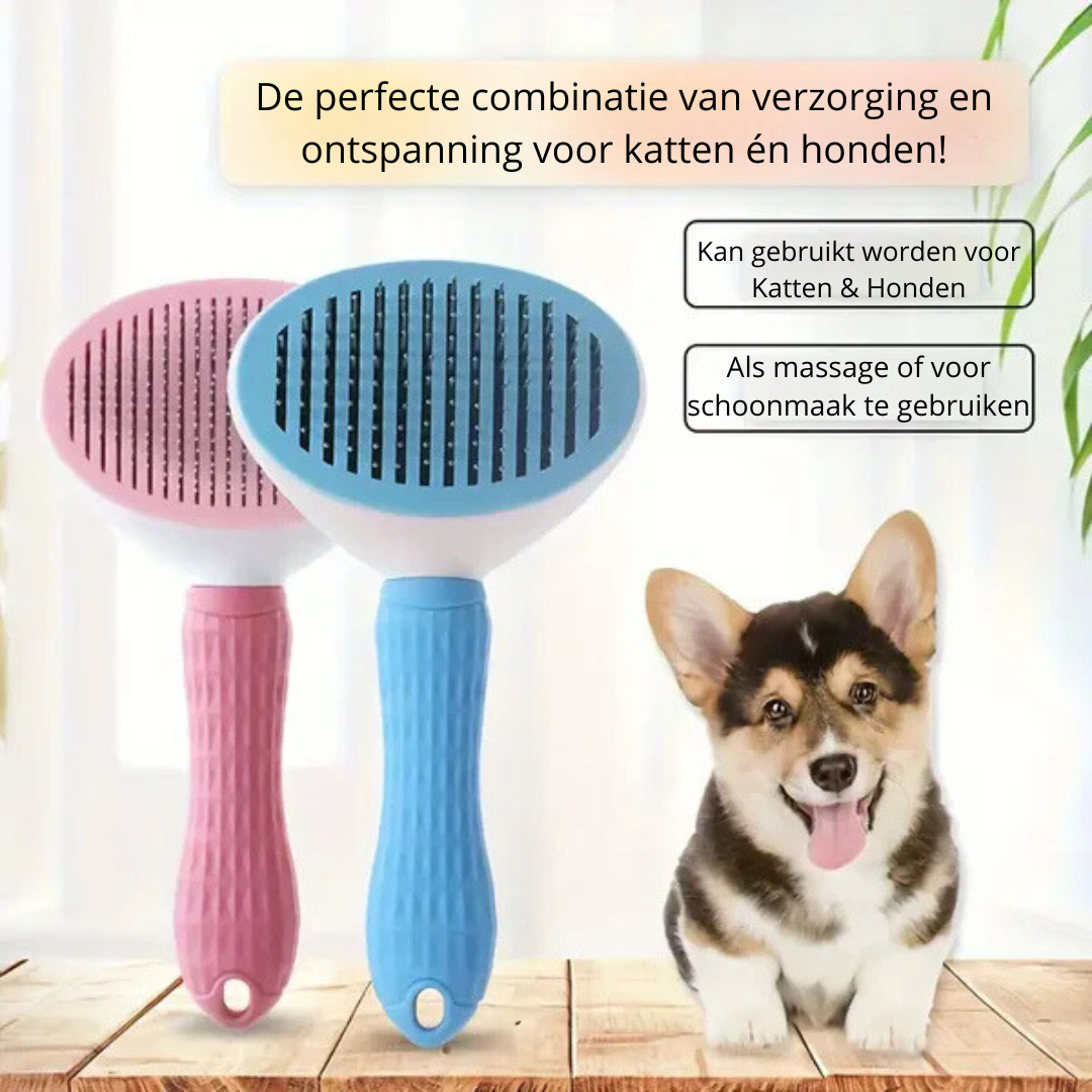 Kattenborstel Blauw en Roze Blije Snuitjes