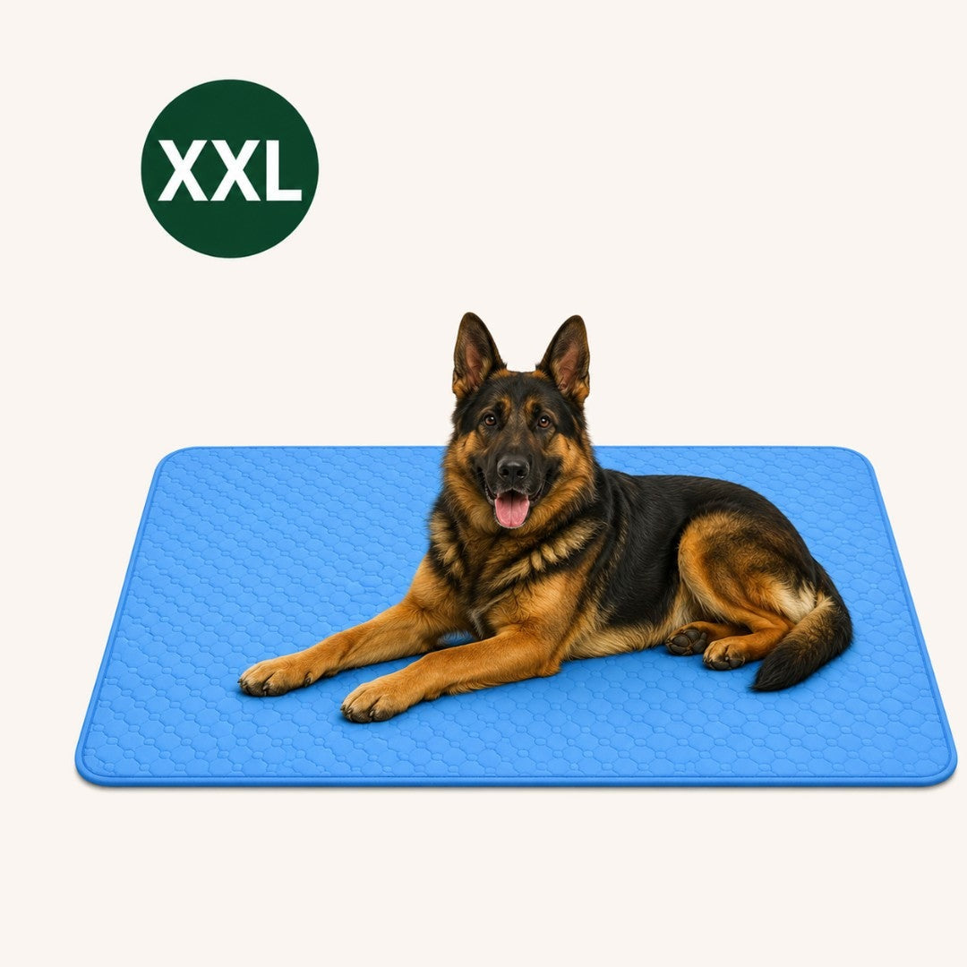 Koelmat hond XXL 100x150cm
