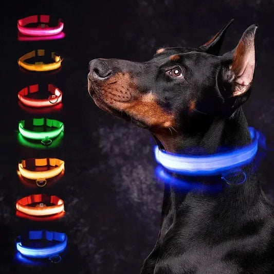 Led Halsband - Makkelijk je Hond terugvinden in het donker