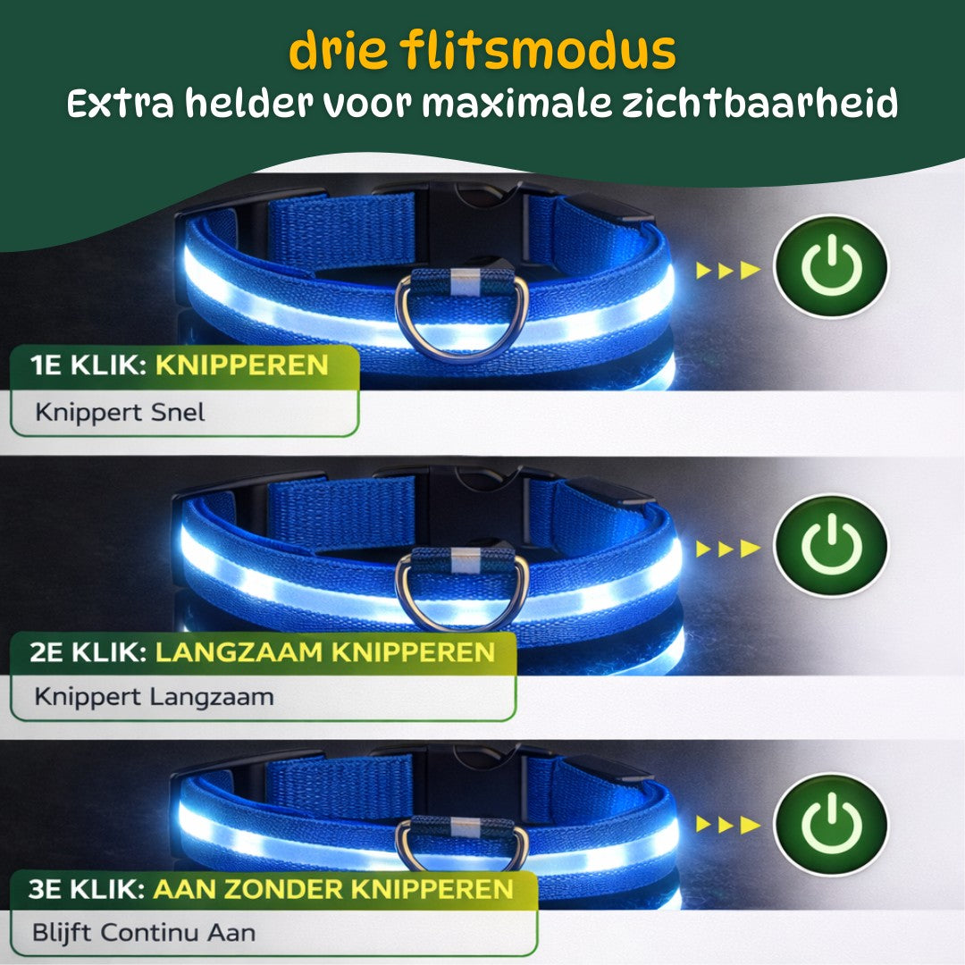 Led Halsband - Makkelijk je Hond terugvinden in het donker