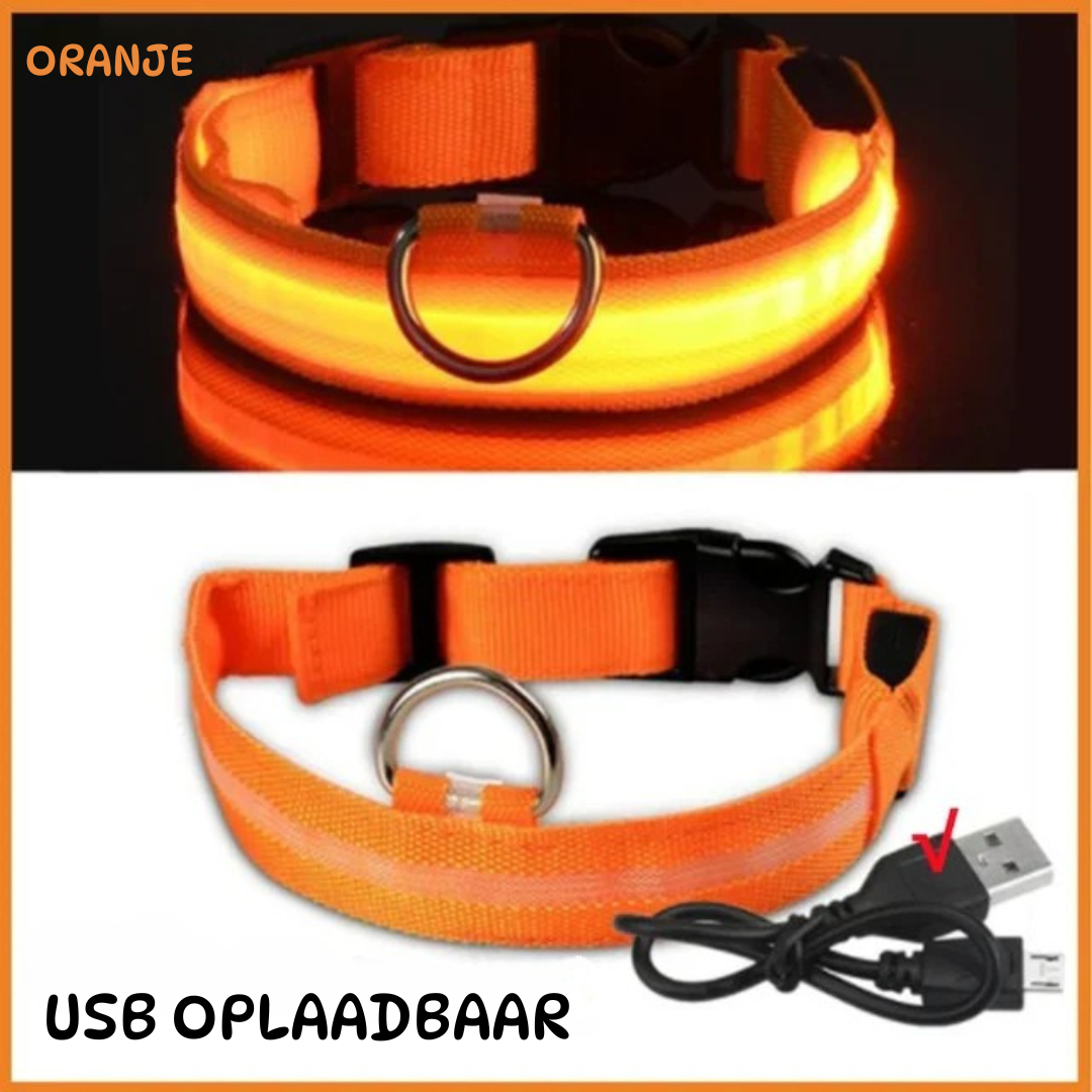 Oranje LED-halsband voor honden, USB oplaadbaar en ideaal voor zichtbaarheid in het donker