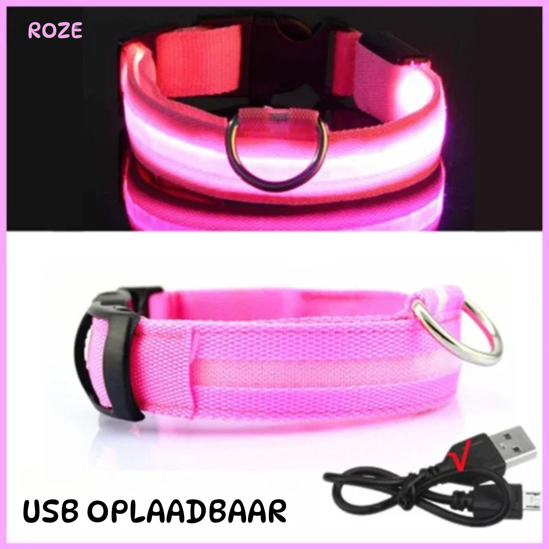 Roze LED-halsband voor honden, USB oplaadbaar en zichtbaar in het donker