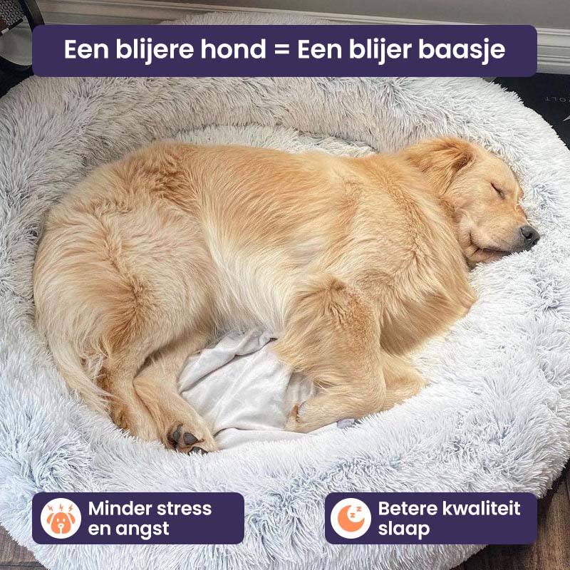 SnoozeBuddy betere slaap kwaliteit