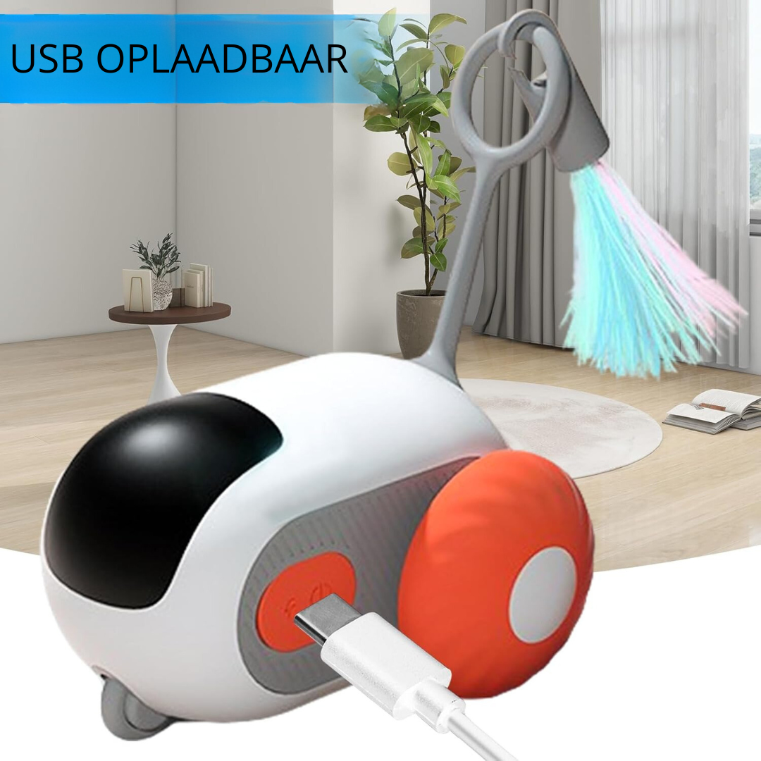 ineractief kattenspeelgoed voor binnen Blije Snuitjes