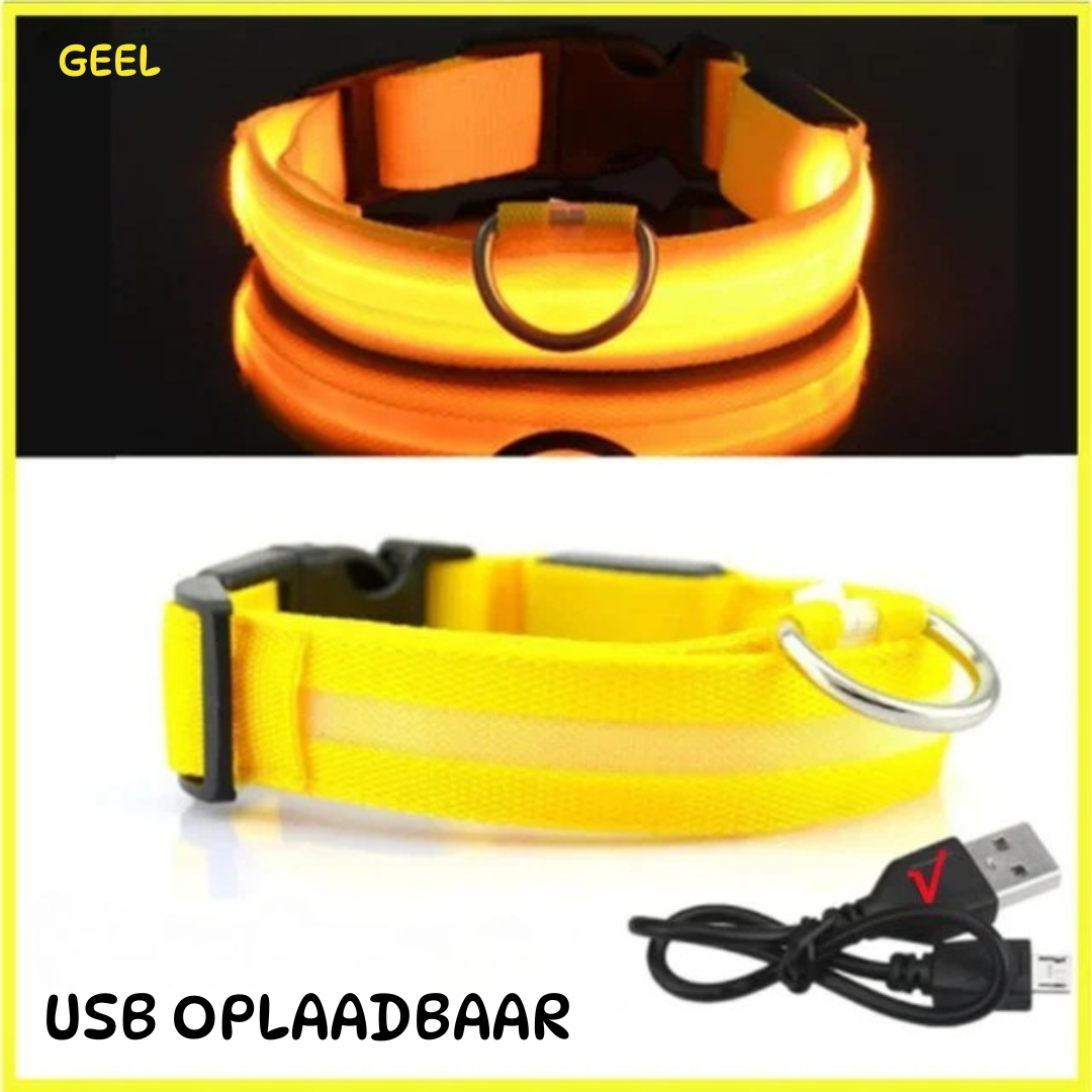 led halsband geel