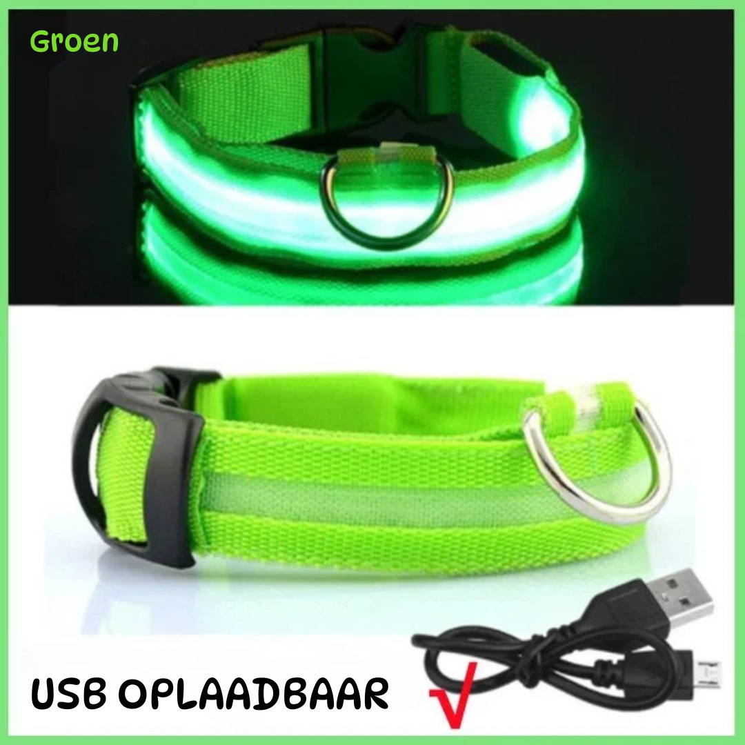 led halsband groen