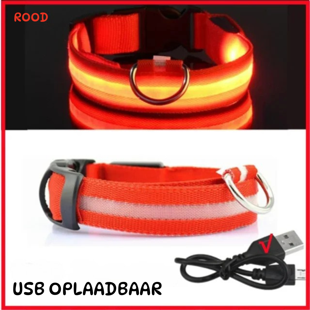 led halsband rood