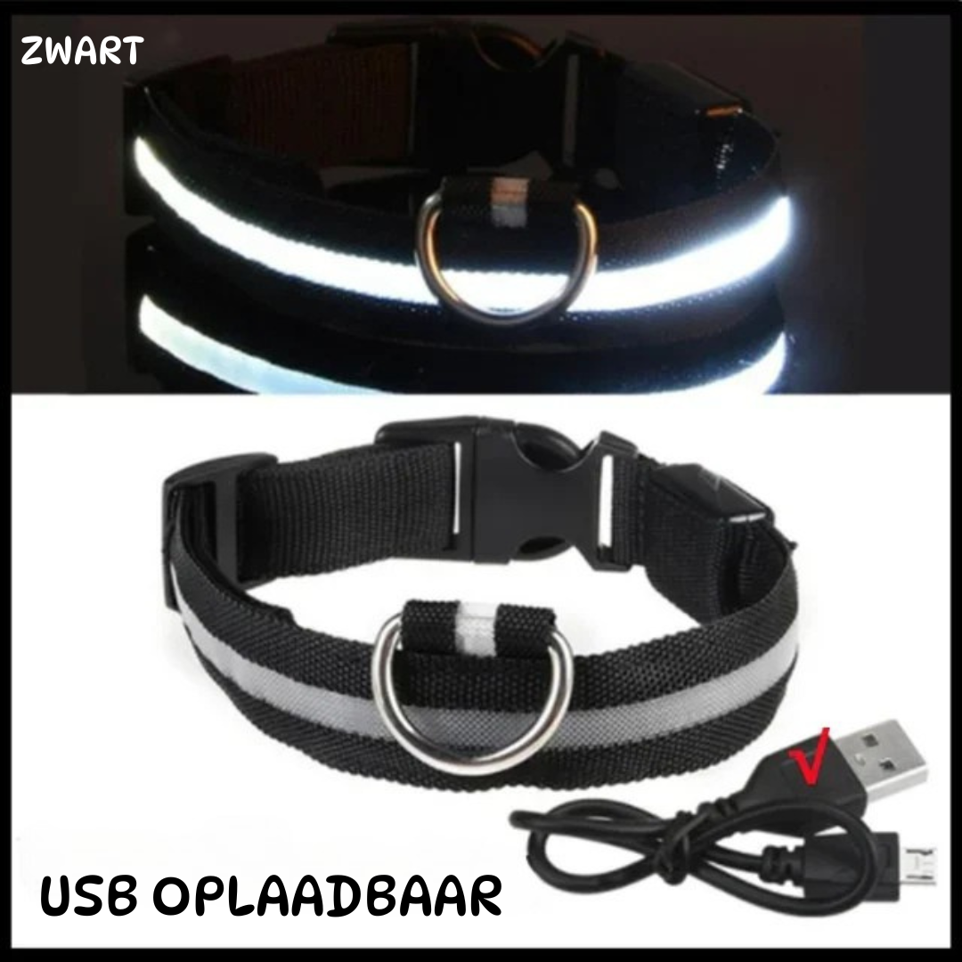 led halsband zwart