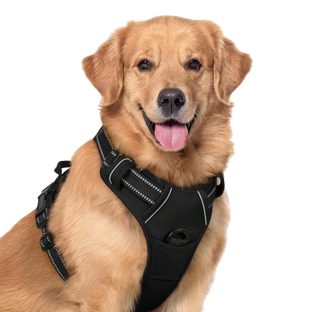 Hond draagt verstelbaar anti‑trek hondentuig Blije Snuitjes – voor borstomvang maat M”