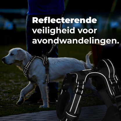 Verstelbare rugband anti‑trek hondentuigje in gebruik tijdens avondwandeling – reflecterende elementen zichtbaar