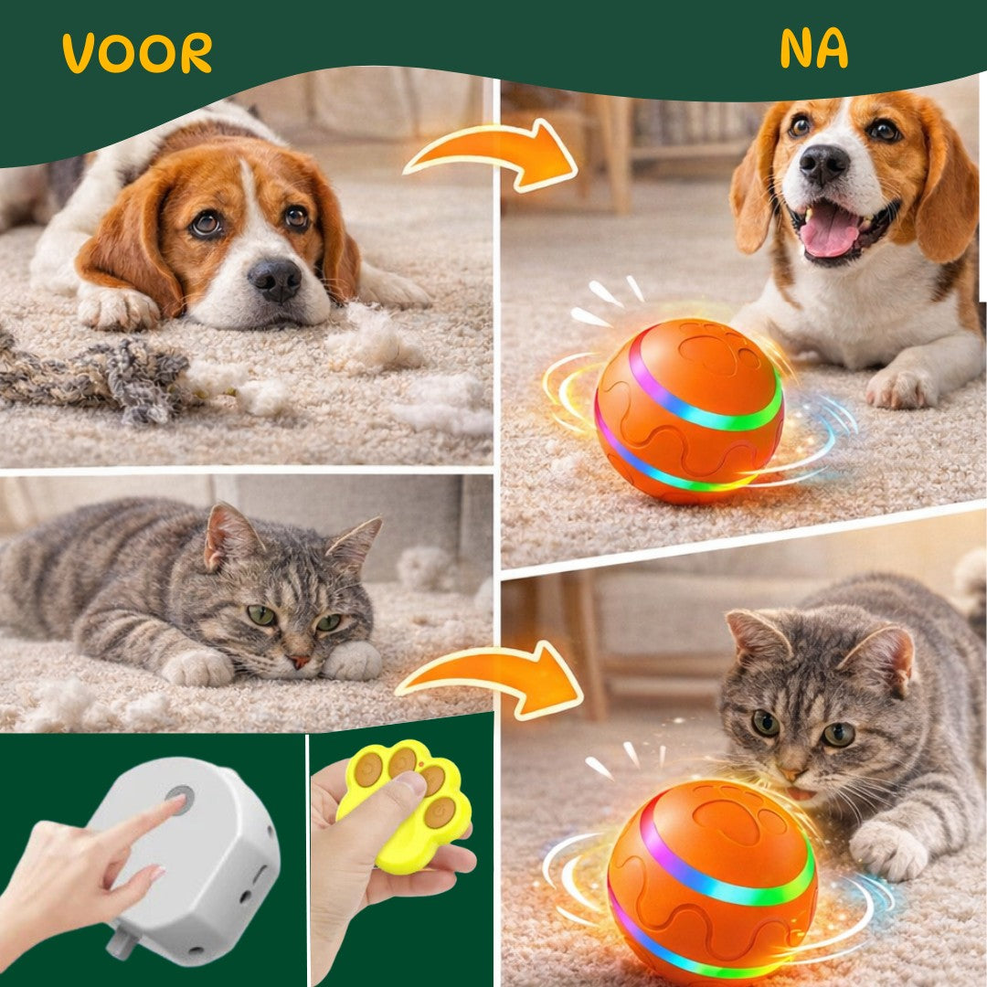 Automatische Speelbal met LED – Interactief Huisdierspeelgoed
