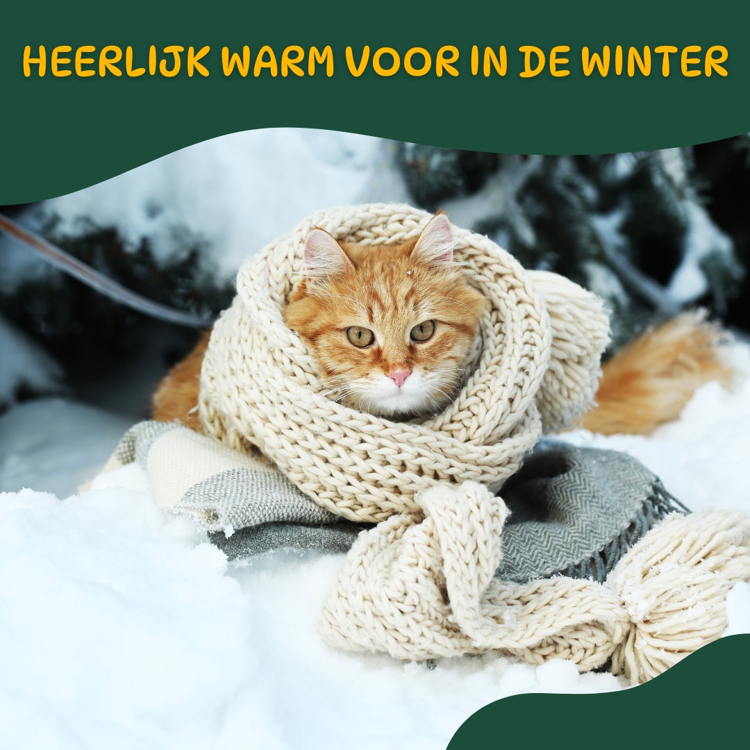 Kat warm ingepakt in een sjaal in de sneeuw – CozyNest™ Kattenmand houdt je huisdier warm tijdens de winter