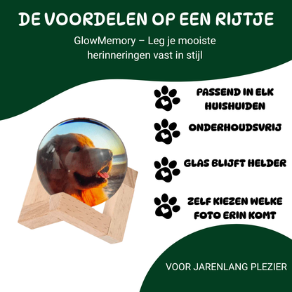 GlowMemory glazen bol met foto van een hond op houten standaard – gepersonaliseerd herinneringscadeau met heldere glasafwerking