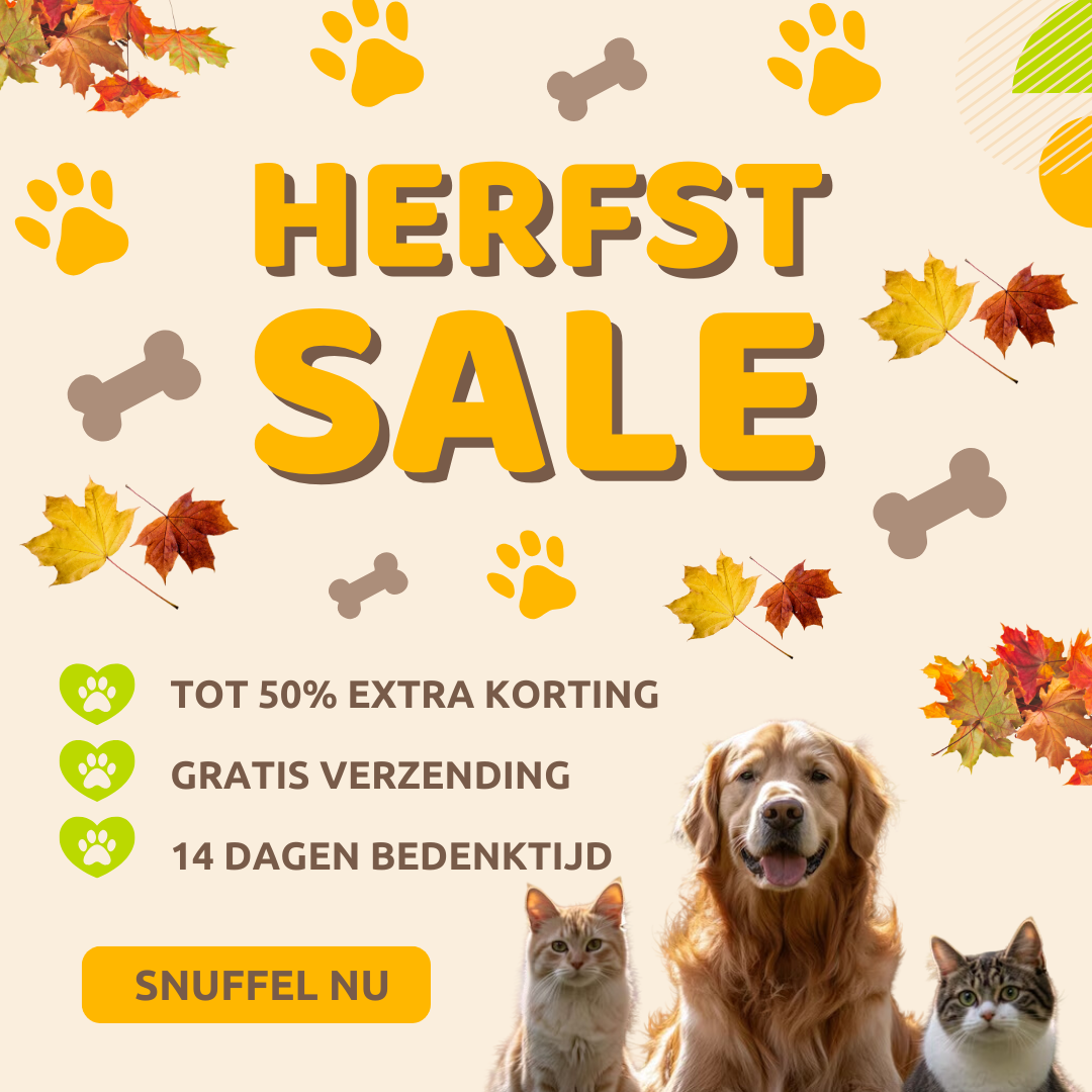Mobile Banner