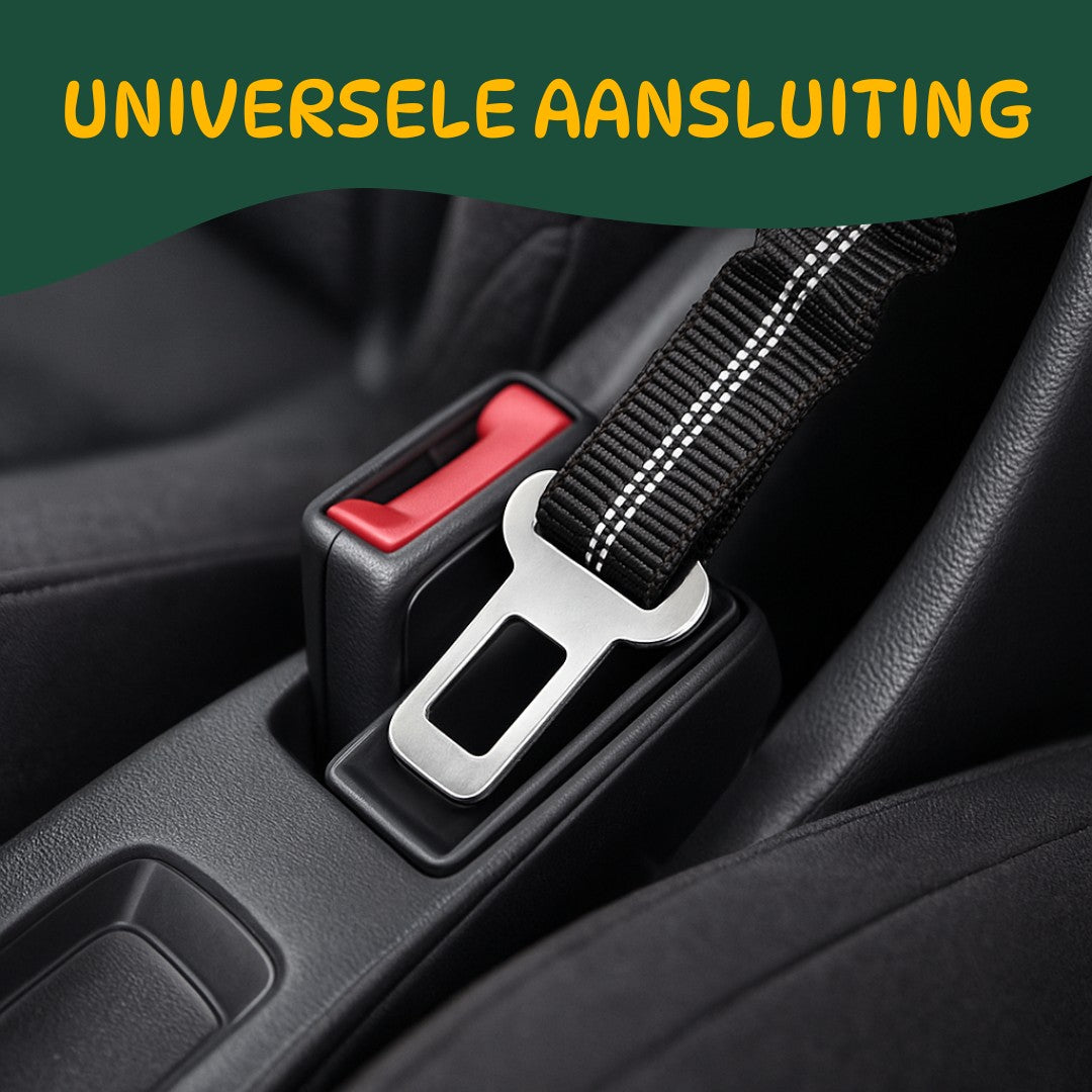 auto gordel voor honden