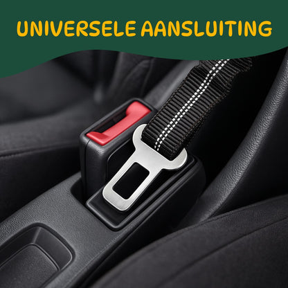 auto gordel voor honden