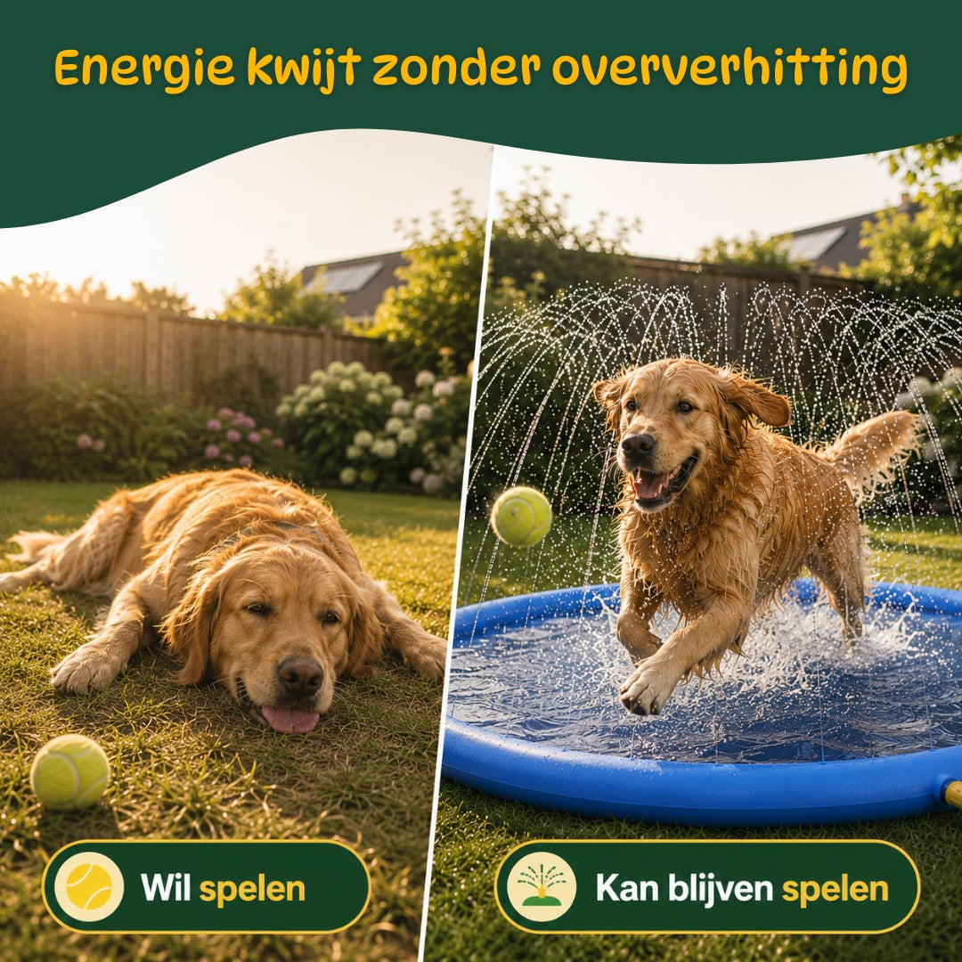 Hondenzwembad - Verkoeling op Warme Dagen