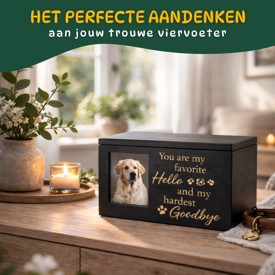 Zwarte hondenurn met foto en gouden tekst, sfeervol geplaatst in huis als warm aandenken aan een overleden hond