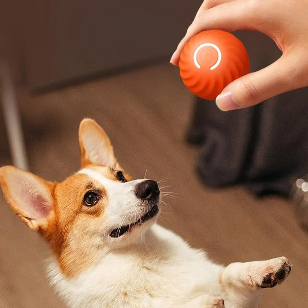 Interactief Balspeeltje – Voor Eindeloos Speelplezier en Actieve Honden! oranje