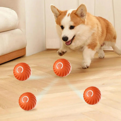 Hond speelt met oranje Ineractief Balspeeltje – Voor Eindeloos Speelplezier en Actieve Honden!