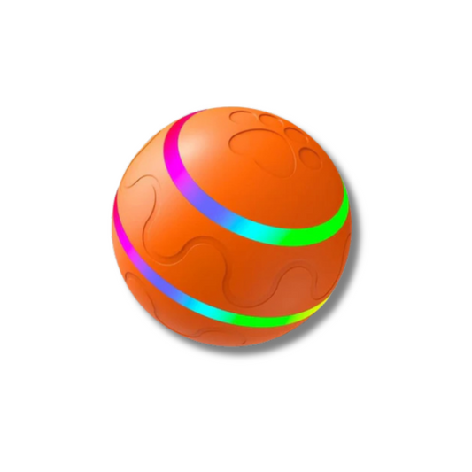 Interactieve Speelbal voor je Huisdier  blije snuitjes