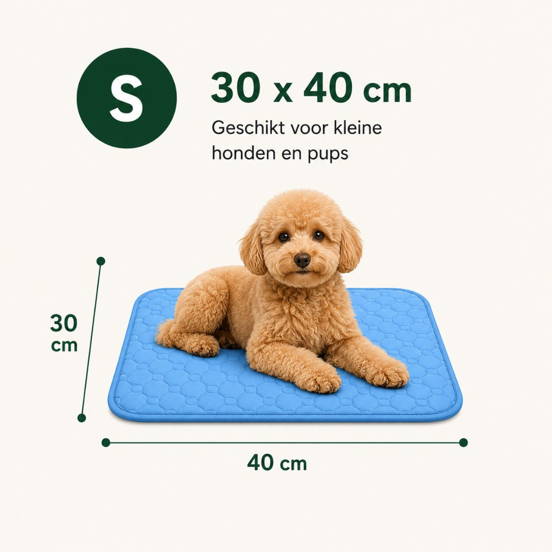 Koelmat Hond – Verkoelende Hondenmat voor Warme Dagen