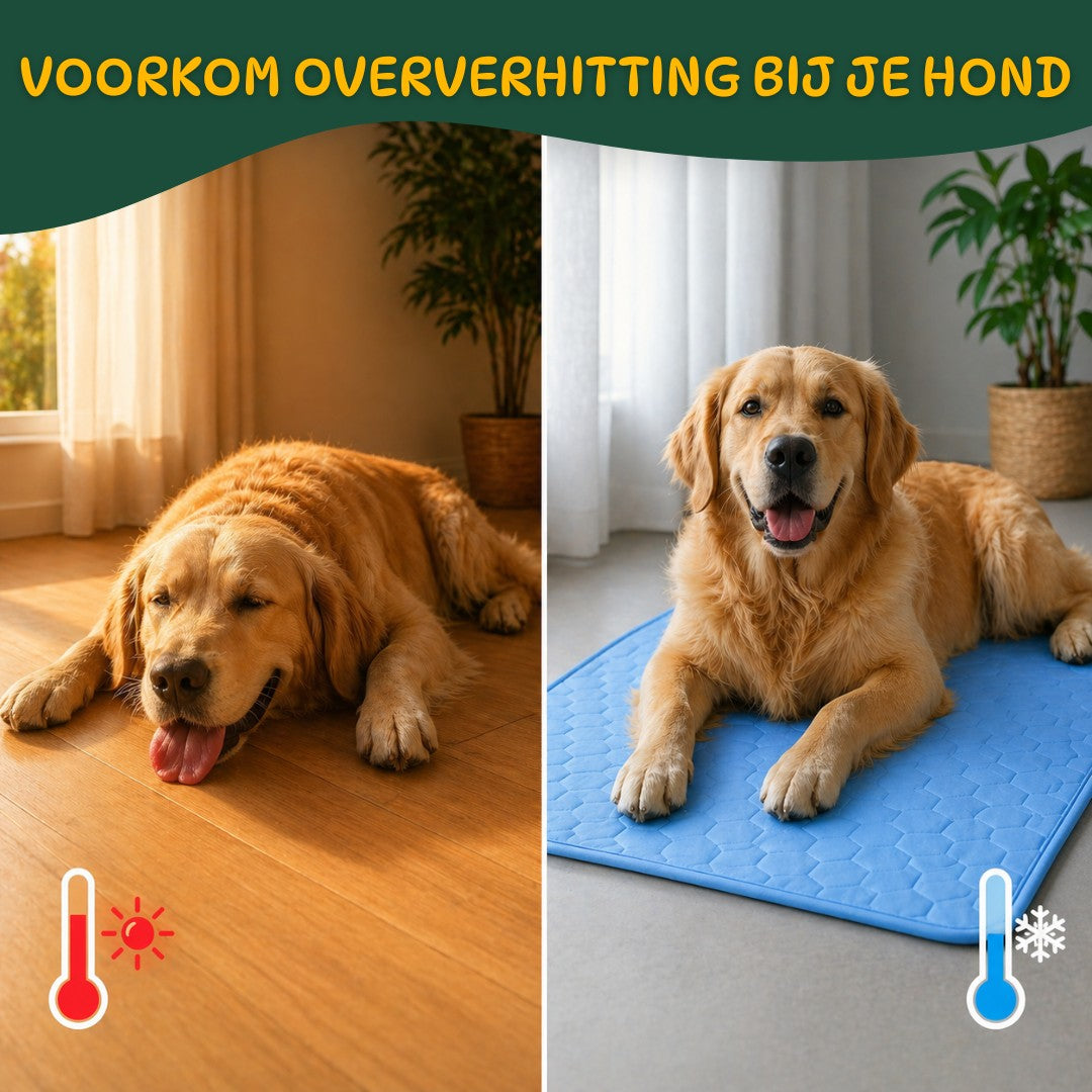 Koelmat Hond – Verkoelende Hondenmat voor Warme Dagen