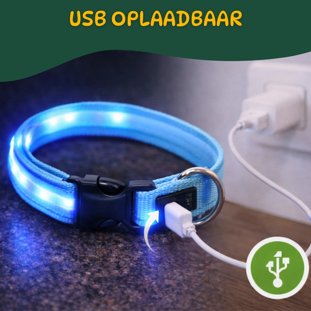 Blauwe LED halsband oplaadbaar via USB zonder batterijen