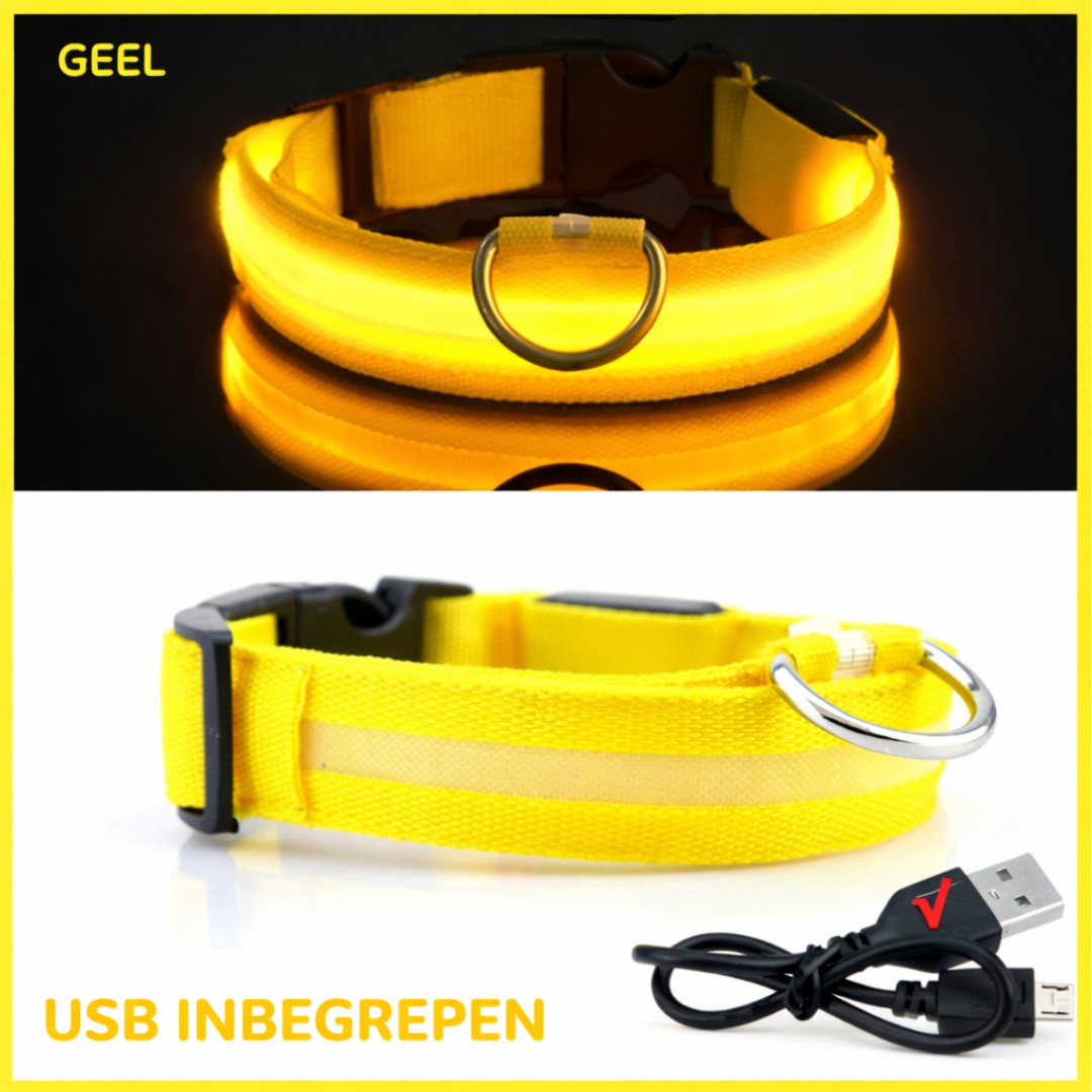 Gele LED halsband voor honden met USB kabel inbegrepen