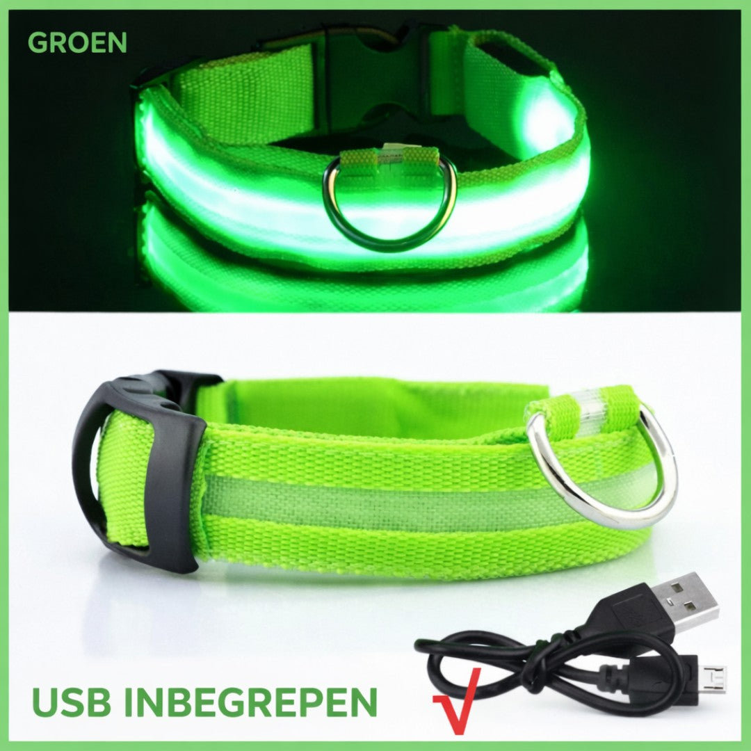 Groene LED halsband voor honden met USB kabel inbegrepen