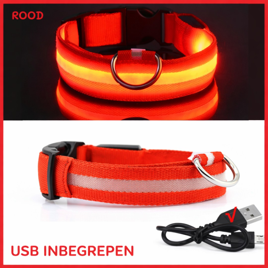 Rode LED halsband voor honden met USB kabel inbegrepen