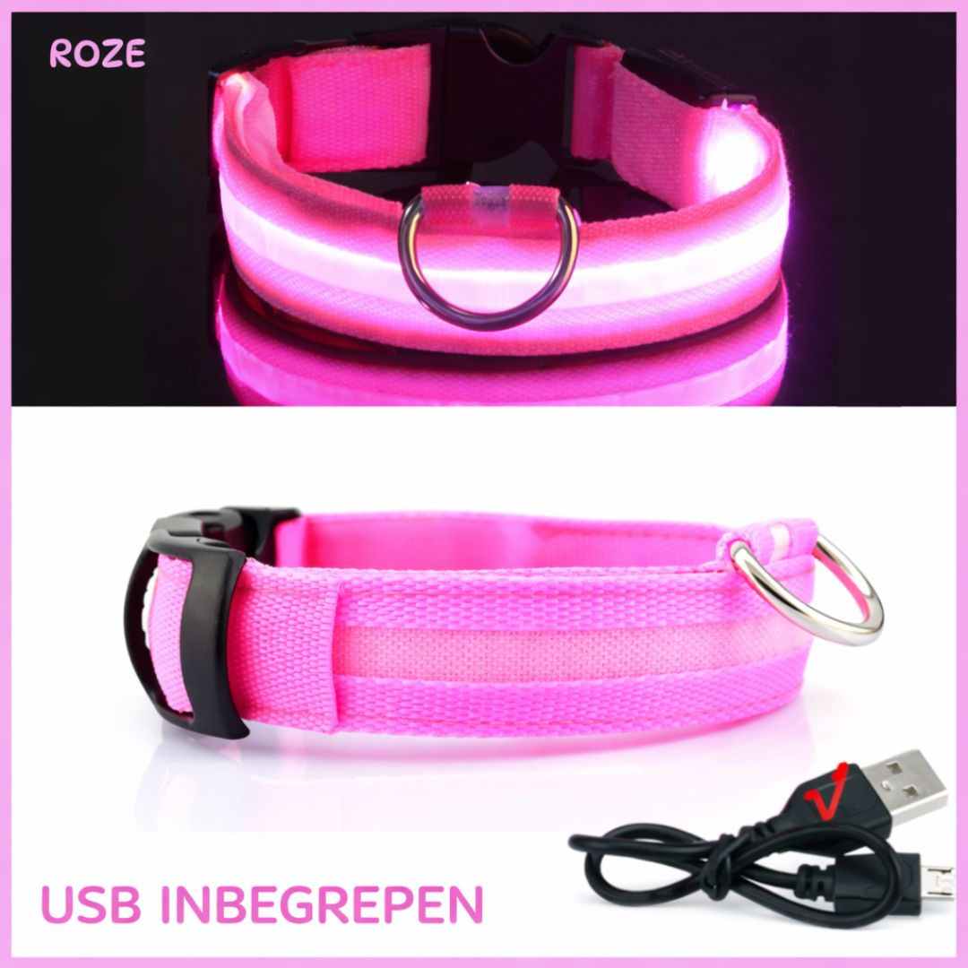 Roze LED halsband voor honden met USB kabel inbegrepen