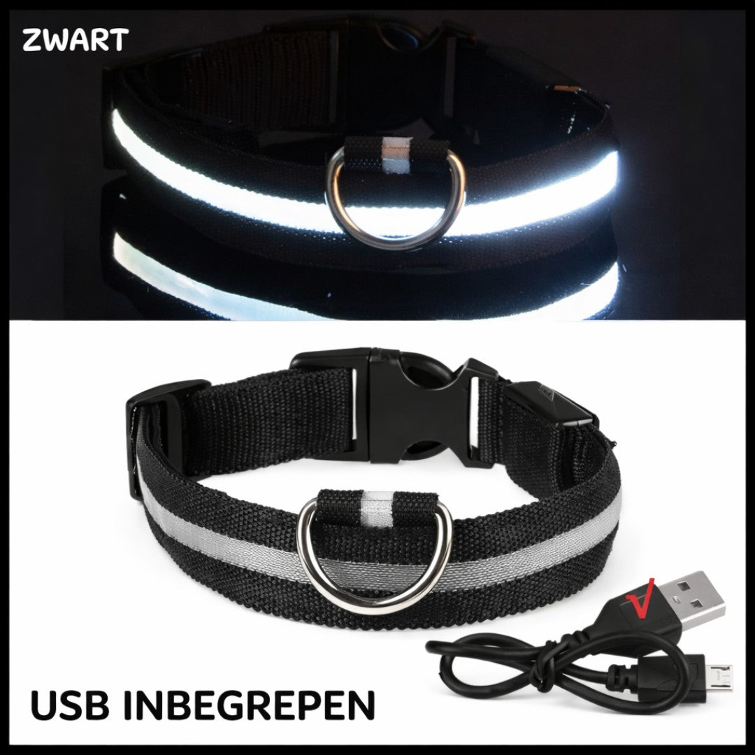 Zwarte LED halsband voor honden met USB kabel inbegrepen
