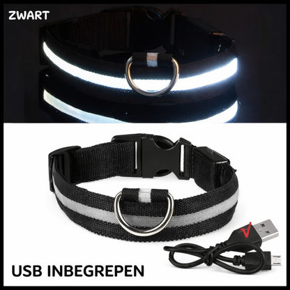 Zwarte LED halsband voor honden met USB kabel inbegrepen