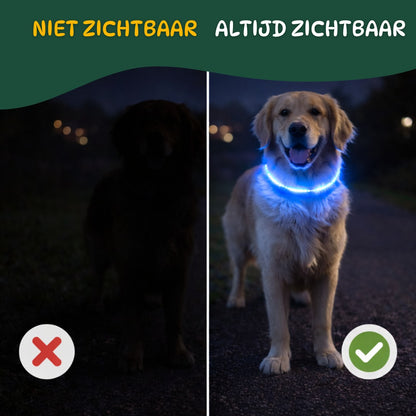 Hond in het donker zonder en met LED halsband vergeleken