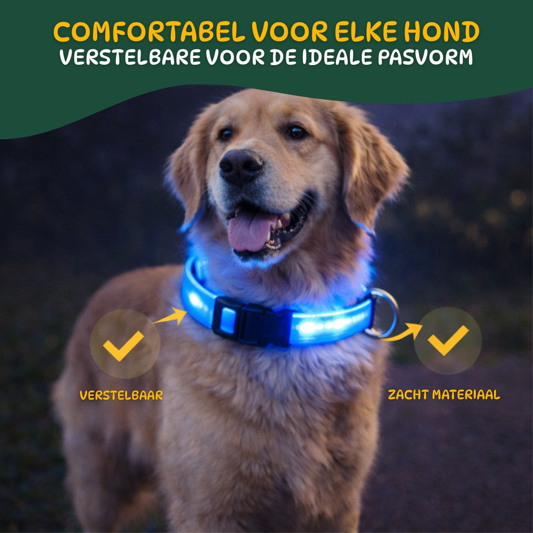 Comfortabele LED halsband met verstelbare pasvorm voor honden