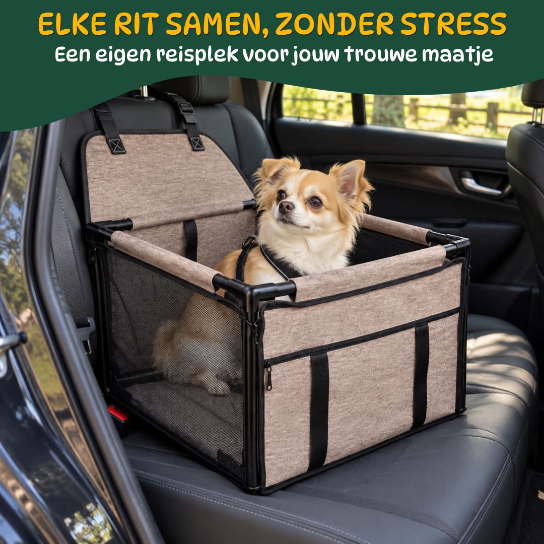 Kleine chihuahua met zwart tuigje op de achterbank van een geparkeerde auto, kijkend naar zijn baasje.