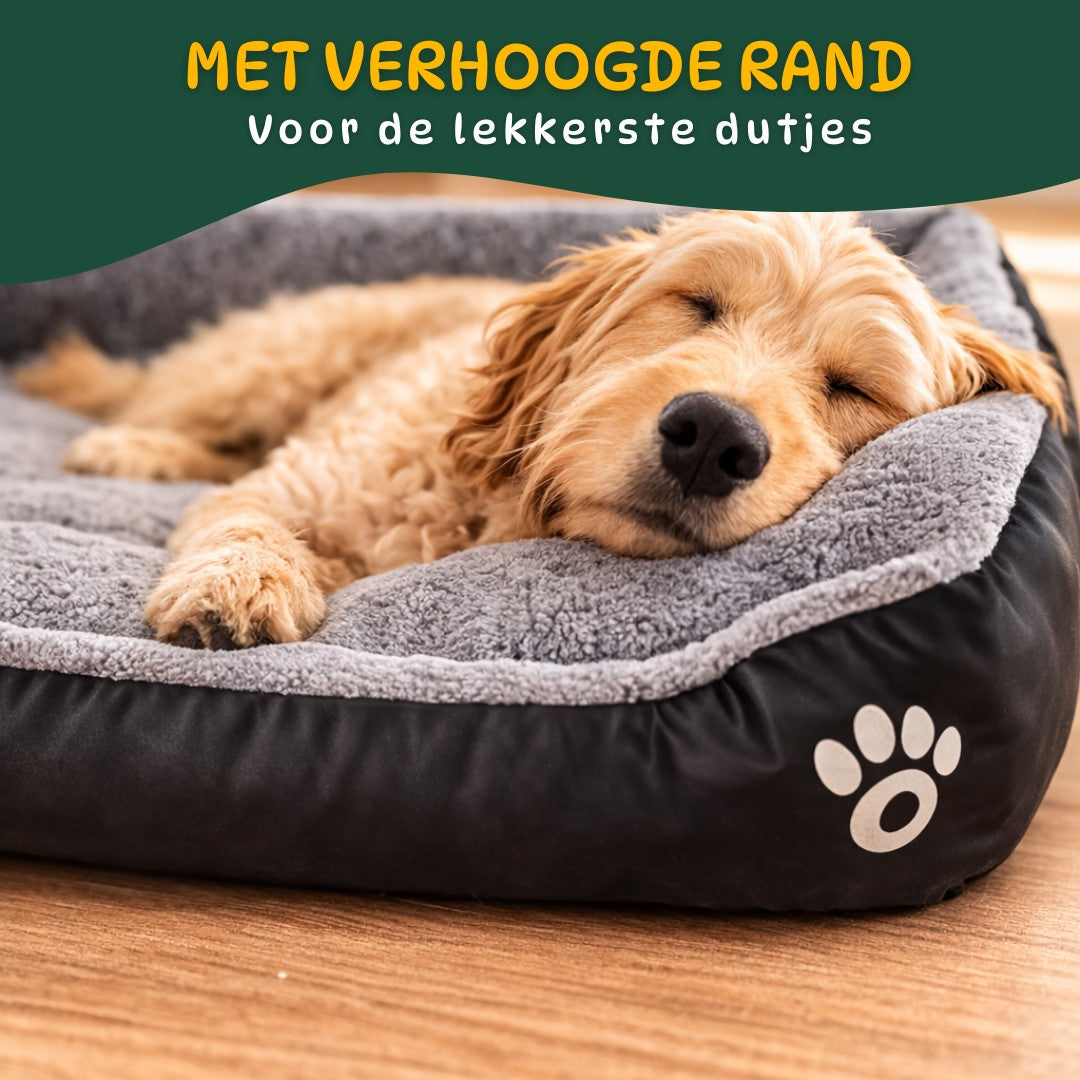 hond ontspannen liggend in zachte pluche hondenmand