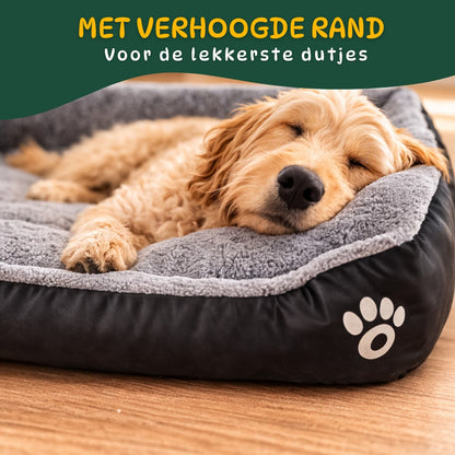 hond ontspannen liggend in zachte pluche hondenmand
