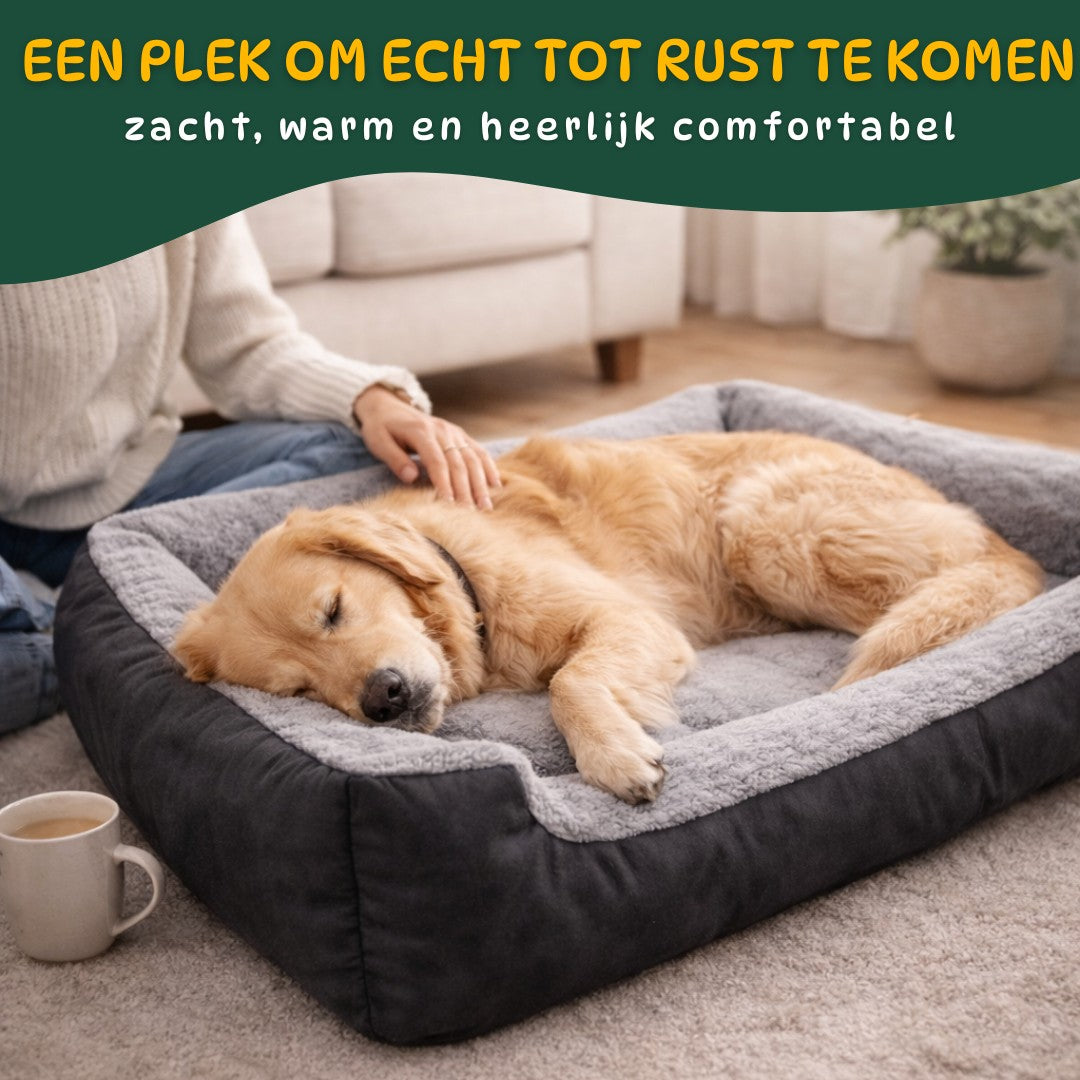 hond ontspannen liggend in zachte pluche hondenmand naast baasje in woonkamer