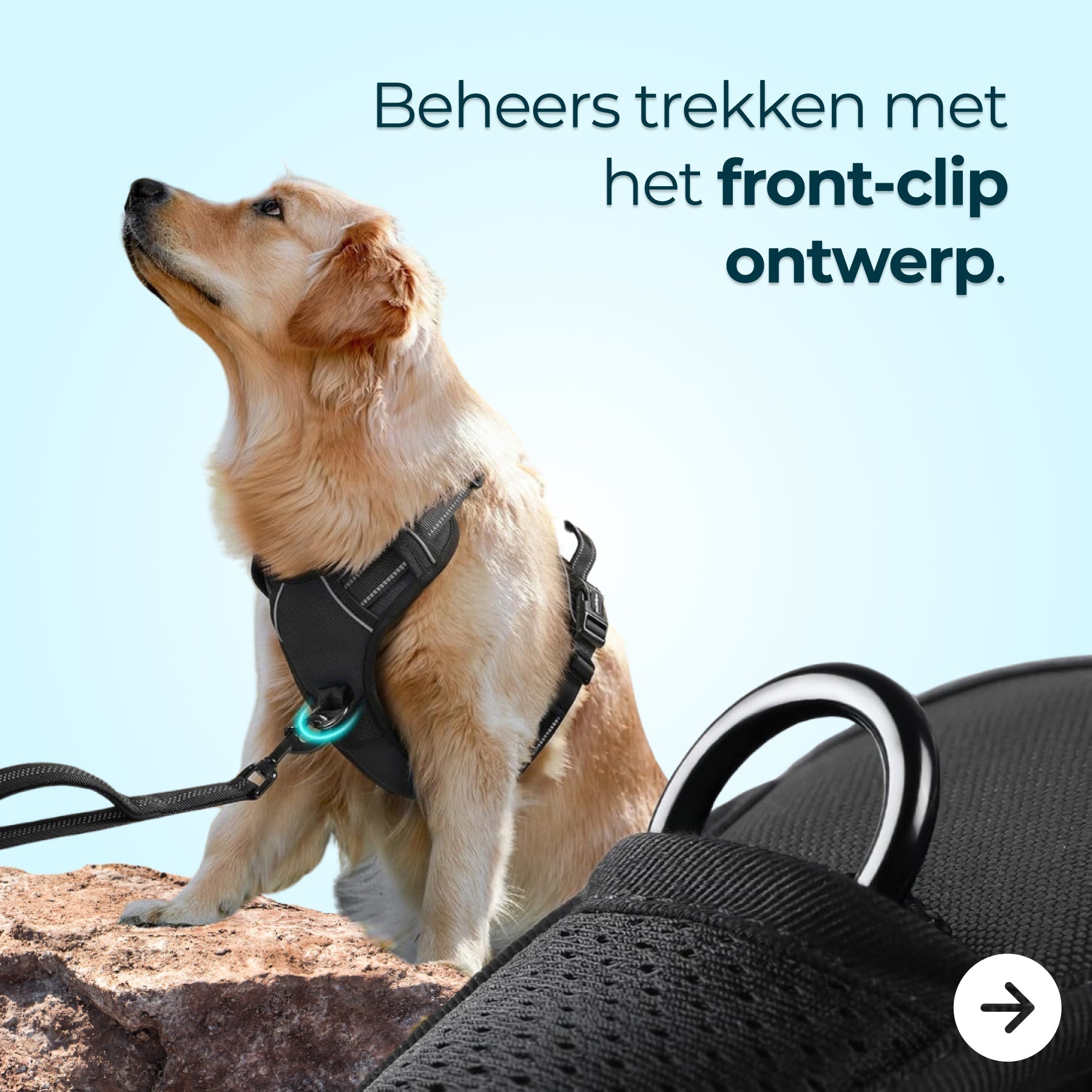 Close‑up metalen gespen en reflecterende banden anti‑trek hondentuig