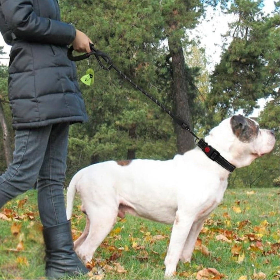 Een vrouw die wandelt met de Hond met de Reflecterende Hondenriem SoftGrip 