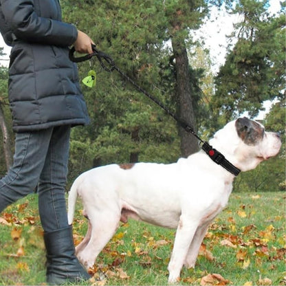 Een vrouw die wandelt met de Hond met de Reflecterende Hondenriem SoftGrip 
