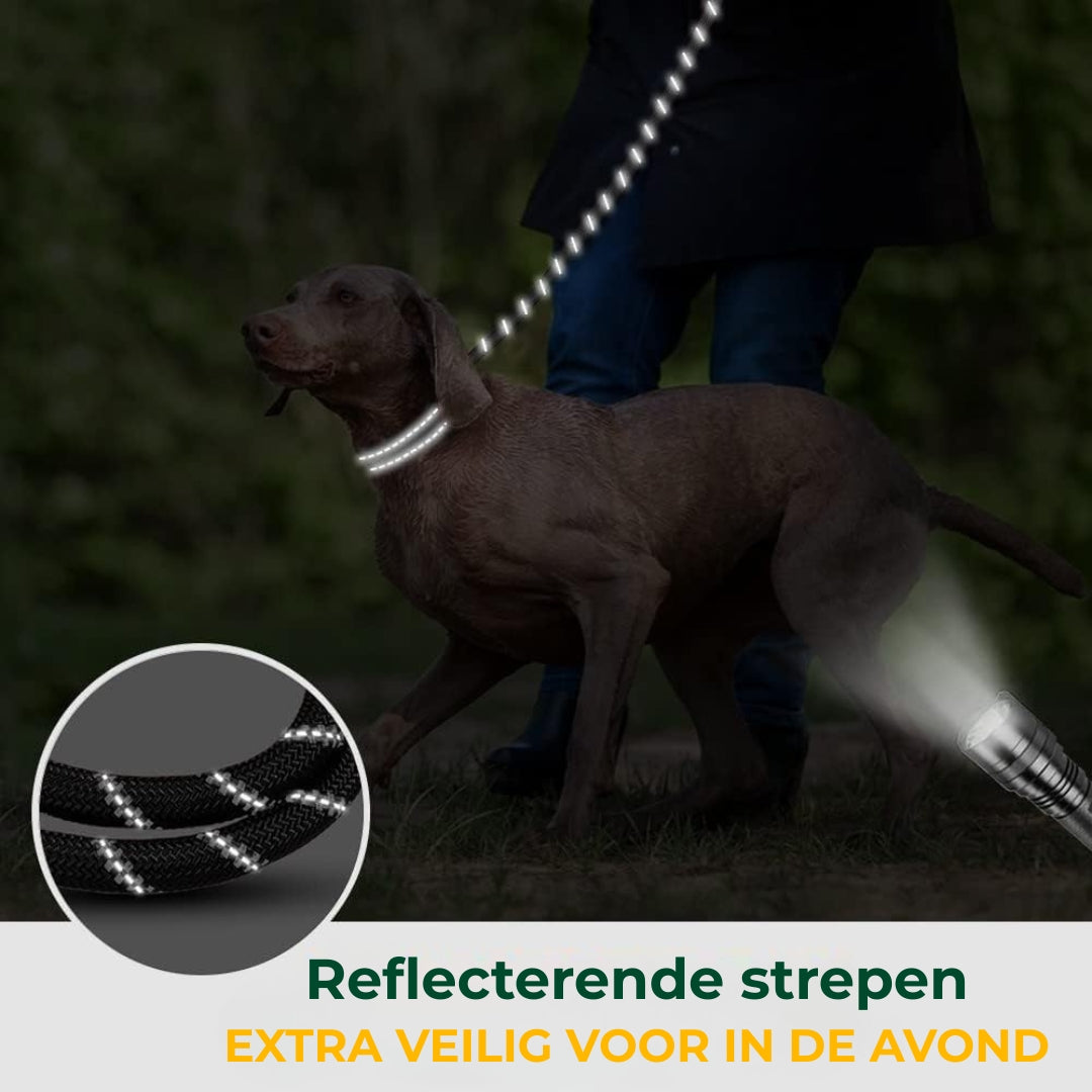 Hond in het donker wandelt. de reflecterende strepen zijn goed te zien in het donker
