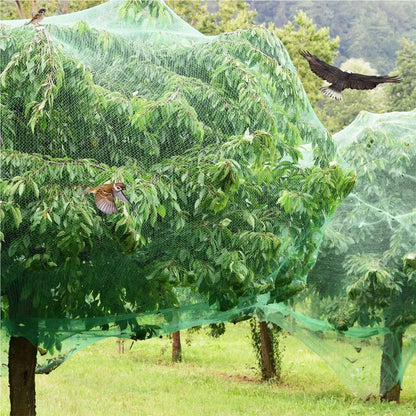 Anti-Vogel Net voor Tuin & Boomgaard – Bescherm Gewassen Zonder Schade aan Dieren