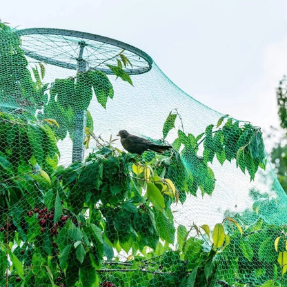 Anti-Vogel Net voor Tuin & Boomgaard – Bescherm Gewassen Zonder Schade aan Dieren