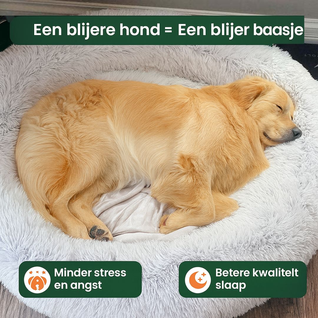 SnoozeBuddy_betere_slaap_kwaliteit