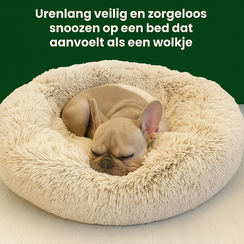 SnoozeBuddy_veilig_en_zorgeloos