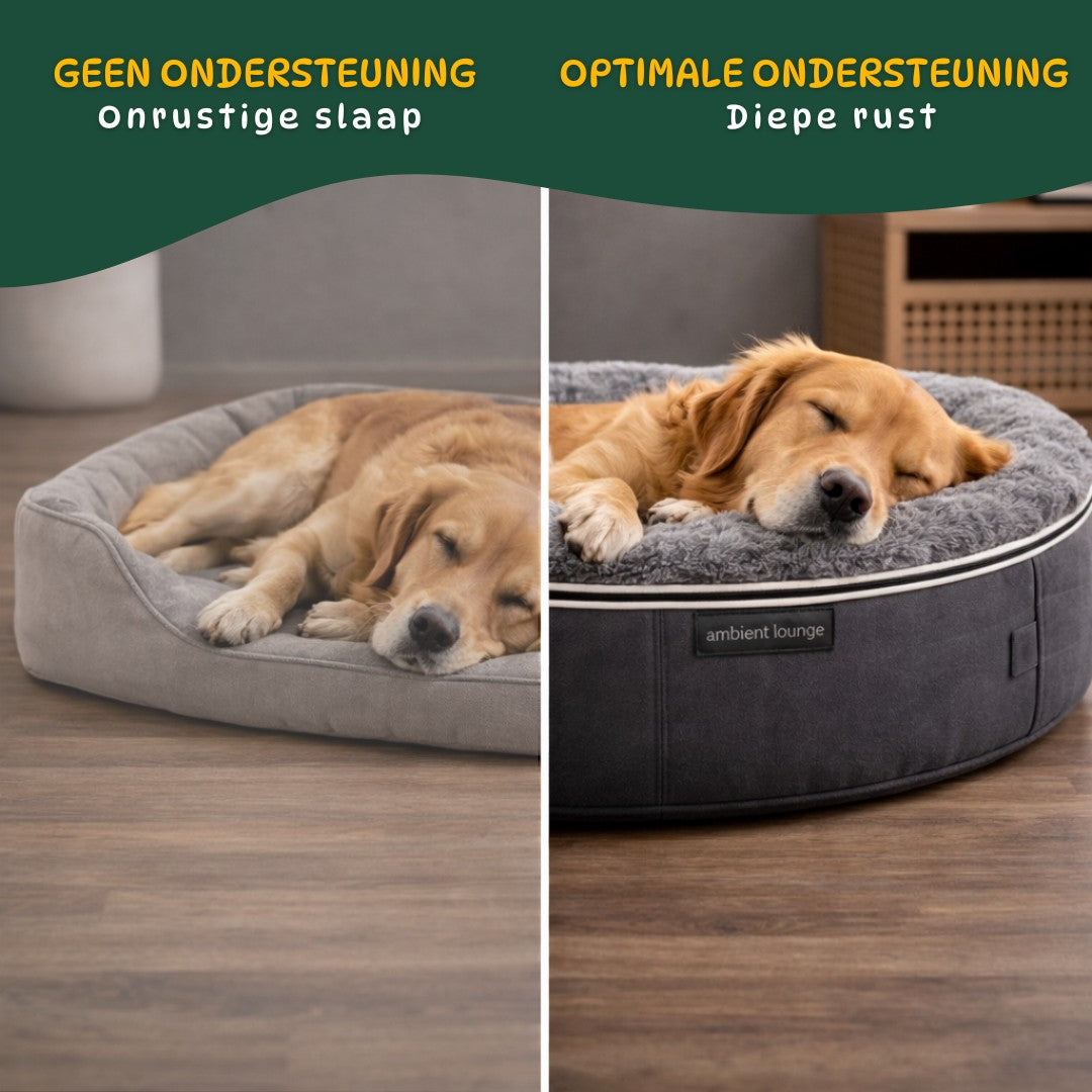 vergelijking hondenmand ondersteuning vs geen ondersteuning hond slaapt beter zichtbaar verschil