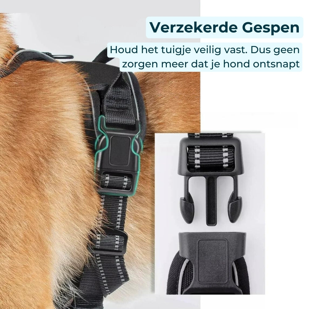 Detail van het anti-trek hondentuigje met versterkte, ontsnappingsproof gespen – extra veiligheid voor elke hond